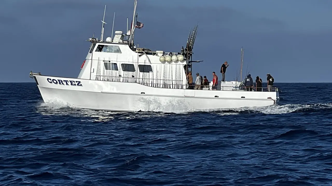 Cortez sportfishing boat