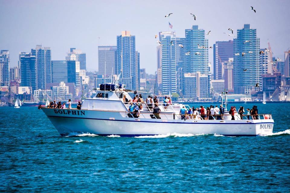 Dolphin sportfishing boat