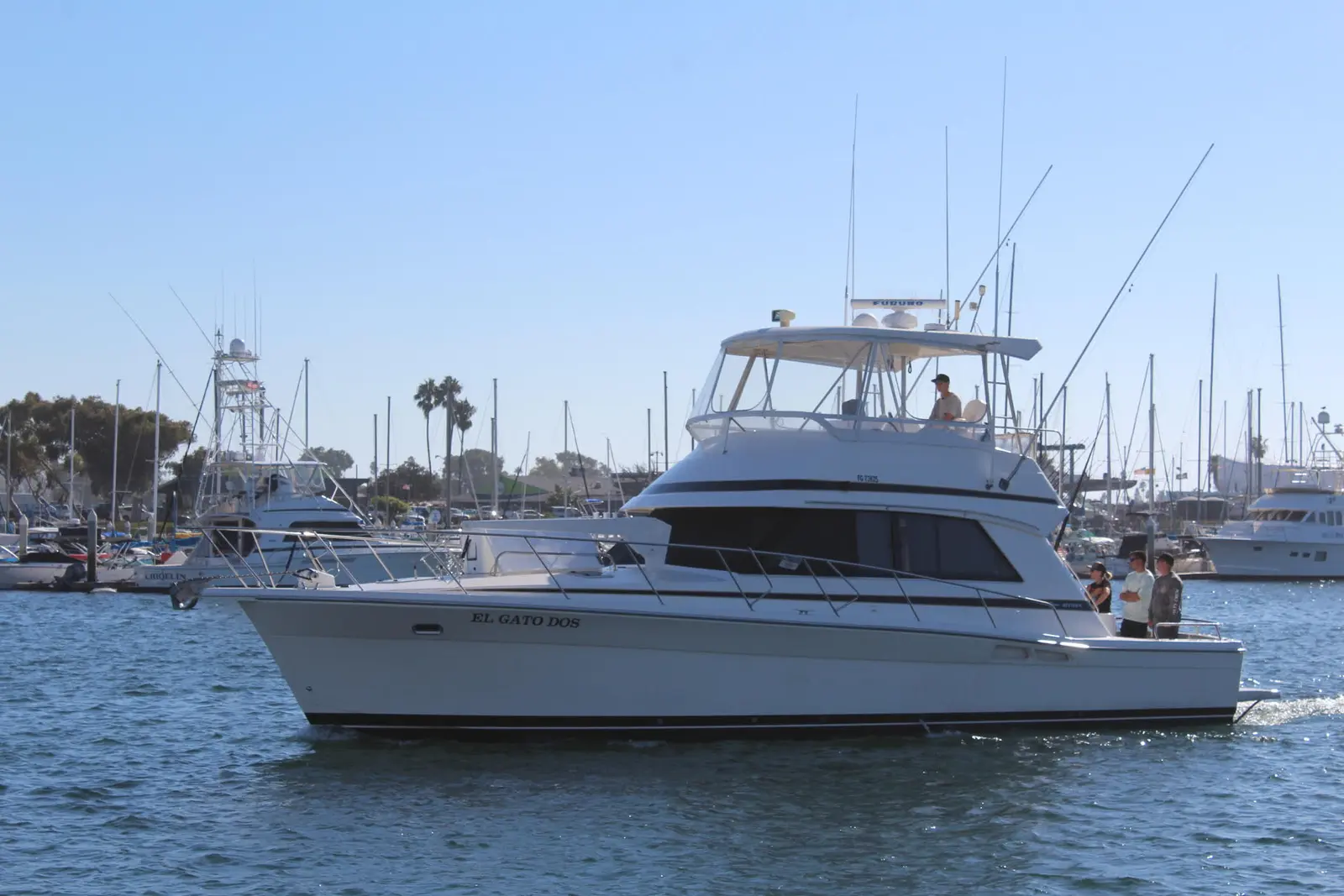 El Gato Dos sportfishing boat