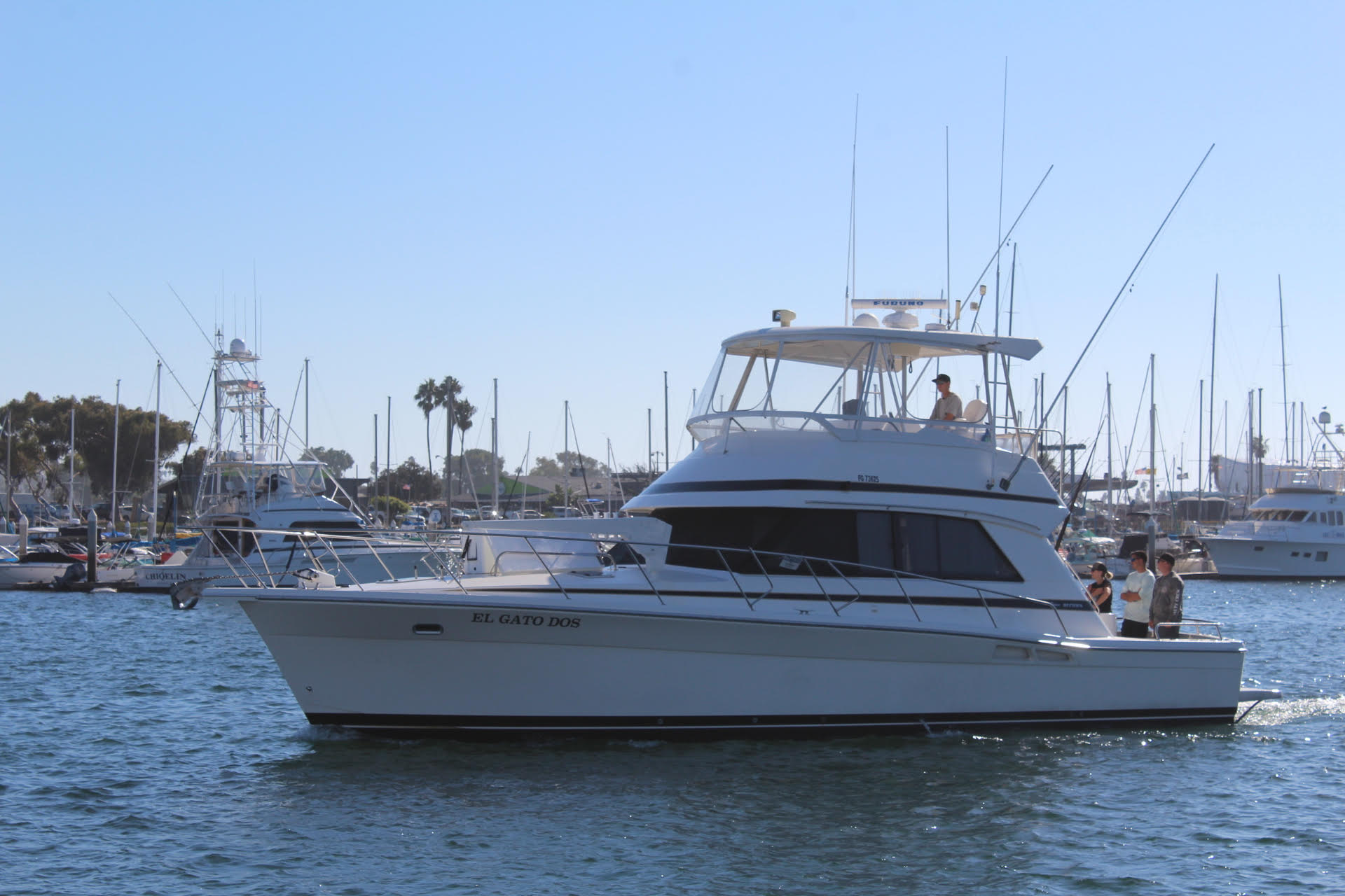 El Gato Dos sportfishing boat