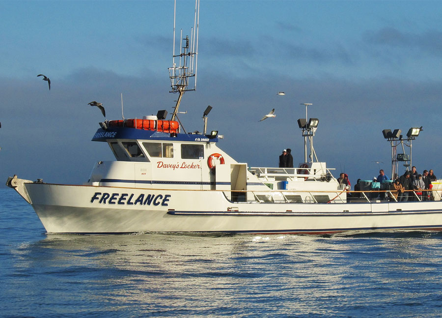 Freelance sportfishing boat