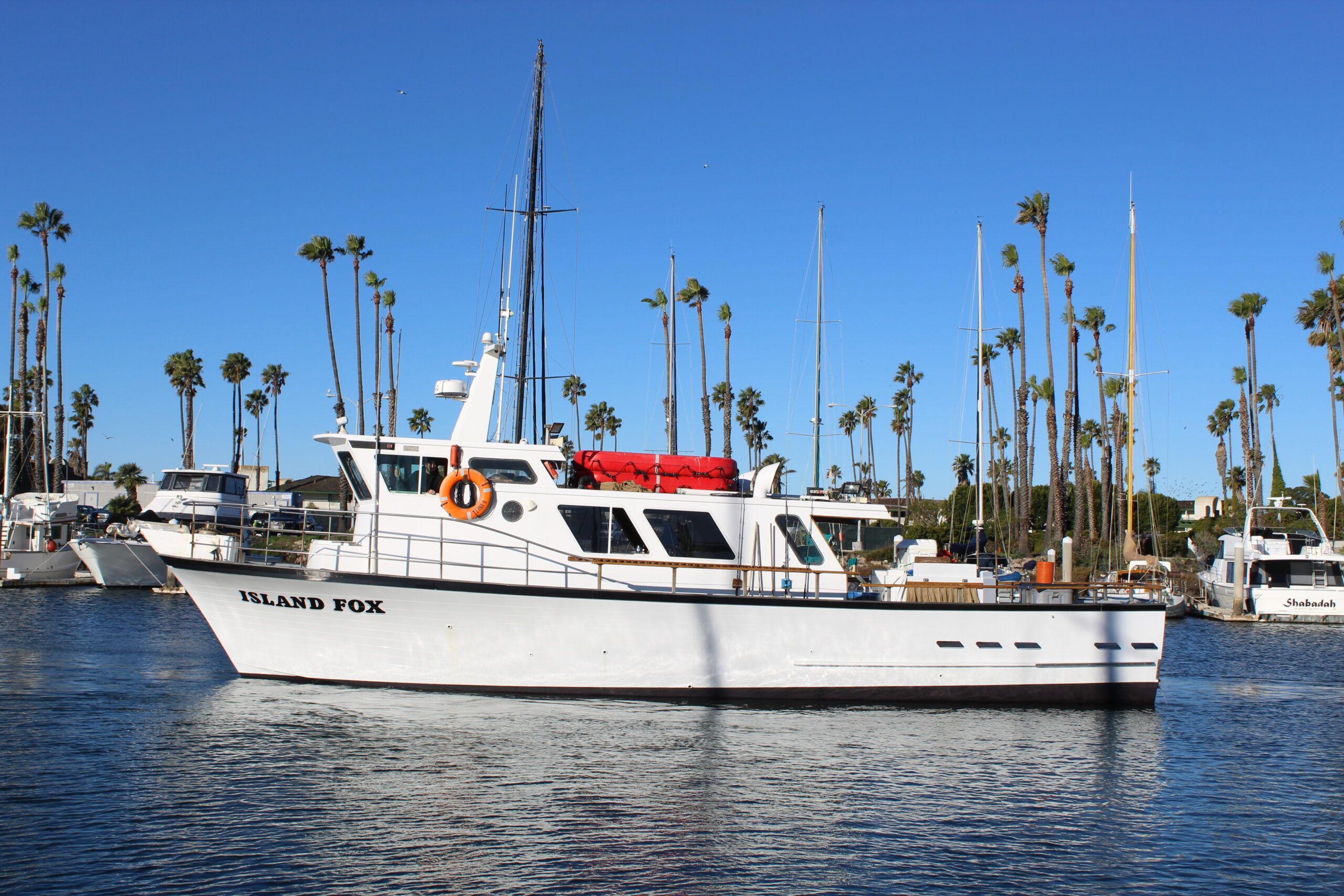 Island Fox sportfishing boat