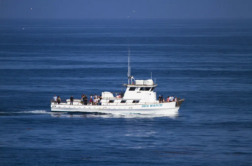 Sea Watch sportfishing boat