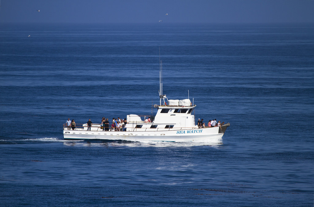 Sea Watch sportfishing boat