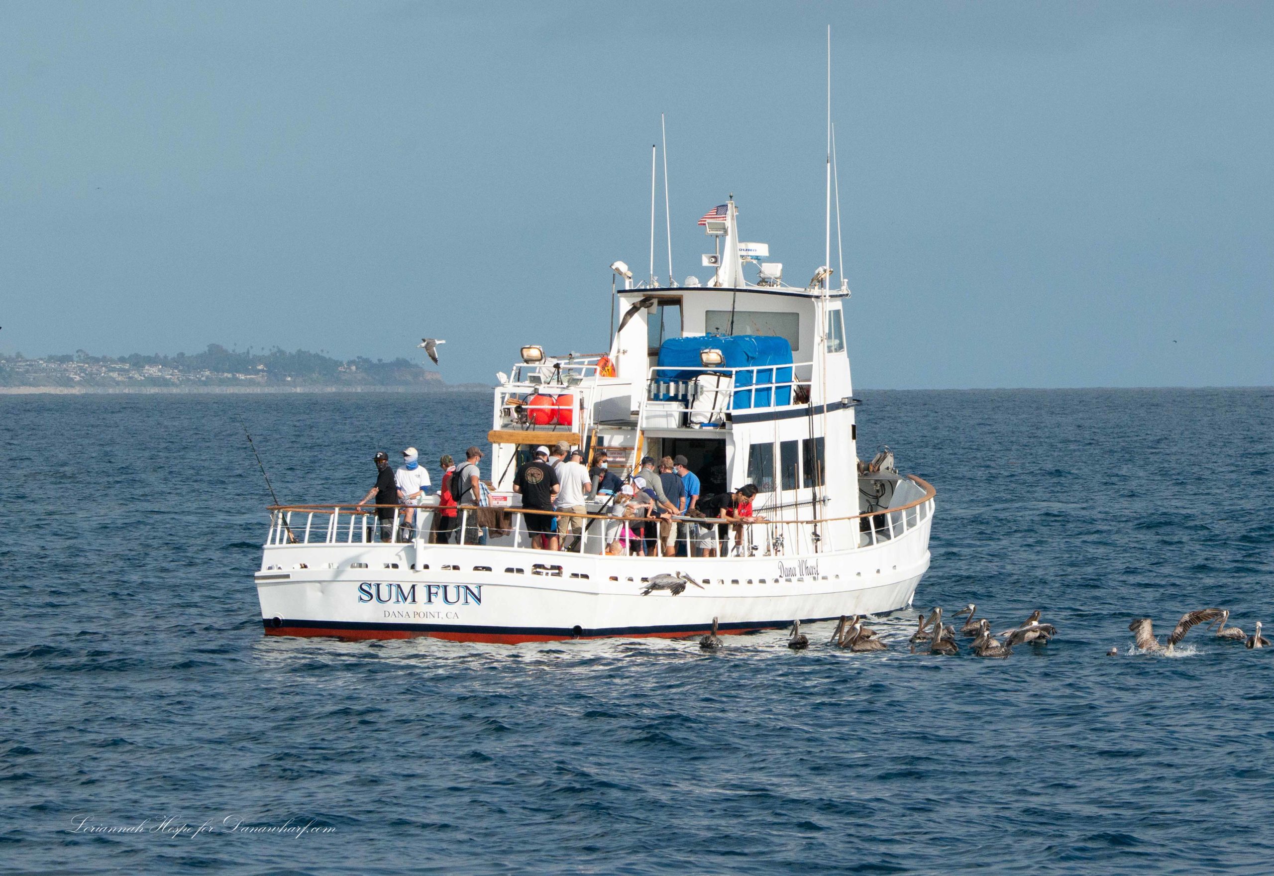 Sum Fun sportfishing boat