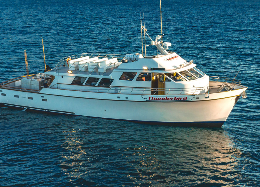 Thunderbird sportfishing boat