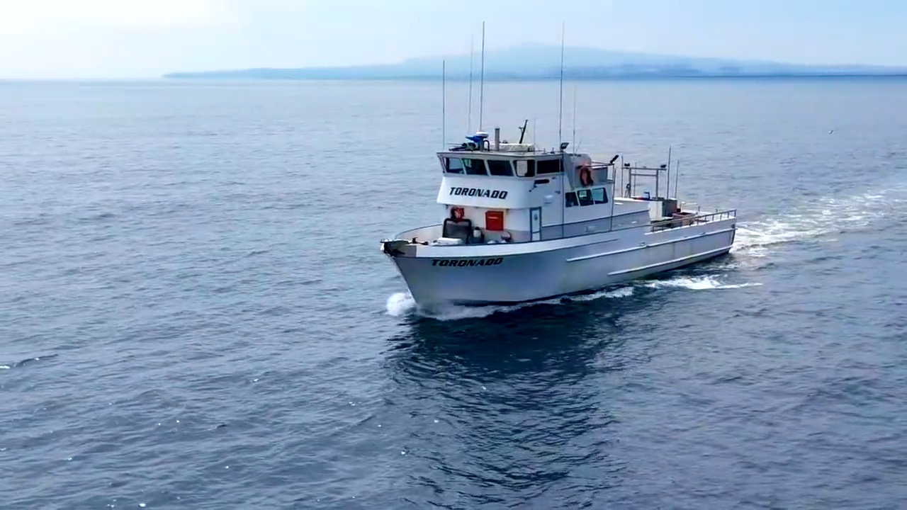 Toronado sportfishing boat