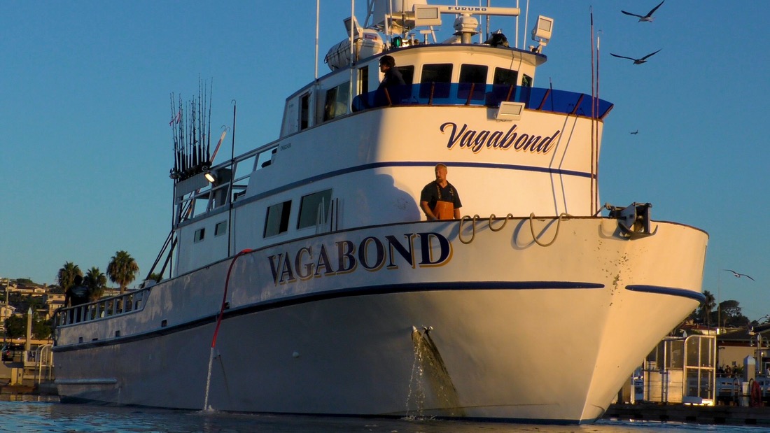 Vagabond sportfishing boat